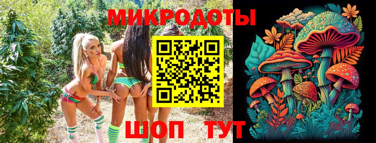 Псилоцибиновые грибы Cubensis Барабинск