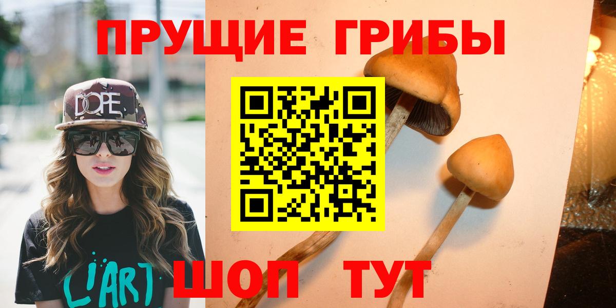 Псилоцибиновые грибы MAGIC MUSHROOMS  Вход с VPN  Барабинск  Псилоцибиновые грибы мицелий 